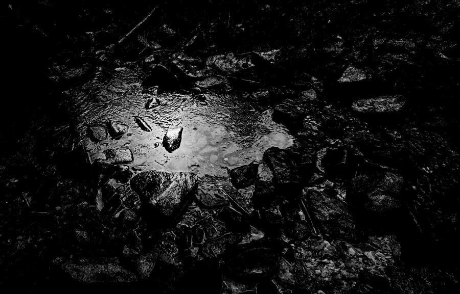 Dark Brooding Pool Dark Pool by ivomvs on DeviantArt