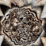 Wheel of the Teeming Metal Sun
