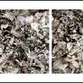 Diptychon Onhe Titel
