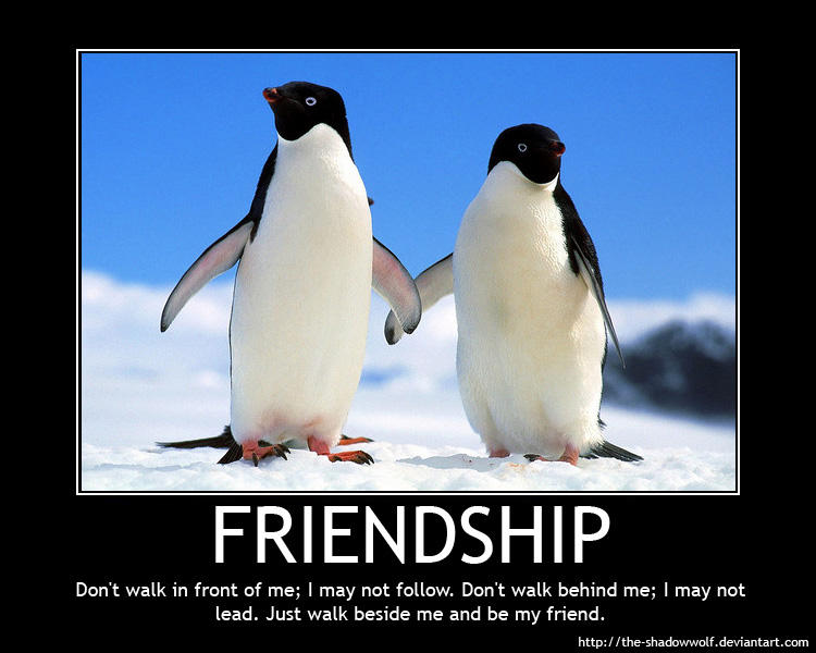 Motivational Poster Friendship By The shadowwolf On DeviantArt motivational-poster-friendship-by-the-shadowwolf-on-deviantart
