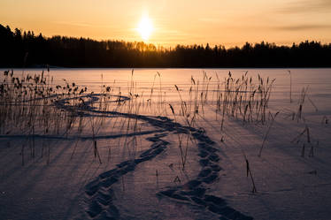 Sunrise at lake