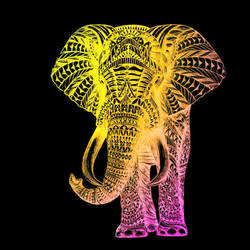 Hi Fi Elephant with Black Background