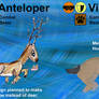 Anteloper family