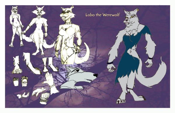 Lobo Character Sheet by Phyrrafae on DeviantArt