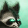 exe the raccoon