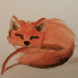 Fox watercolour