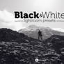 Black And White Lightroom Presets