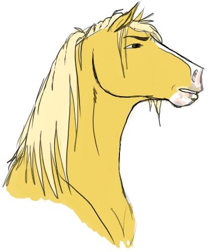 palomino stallion