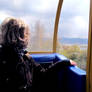 Ferris wheel