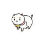 Puppycat