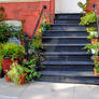 Green Stairway