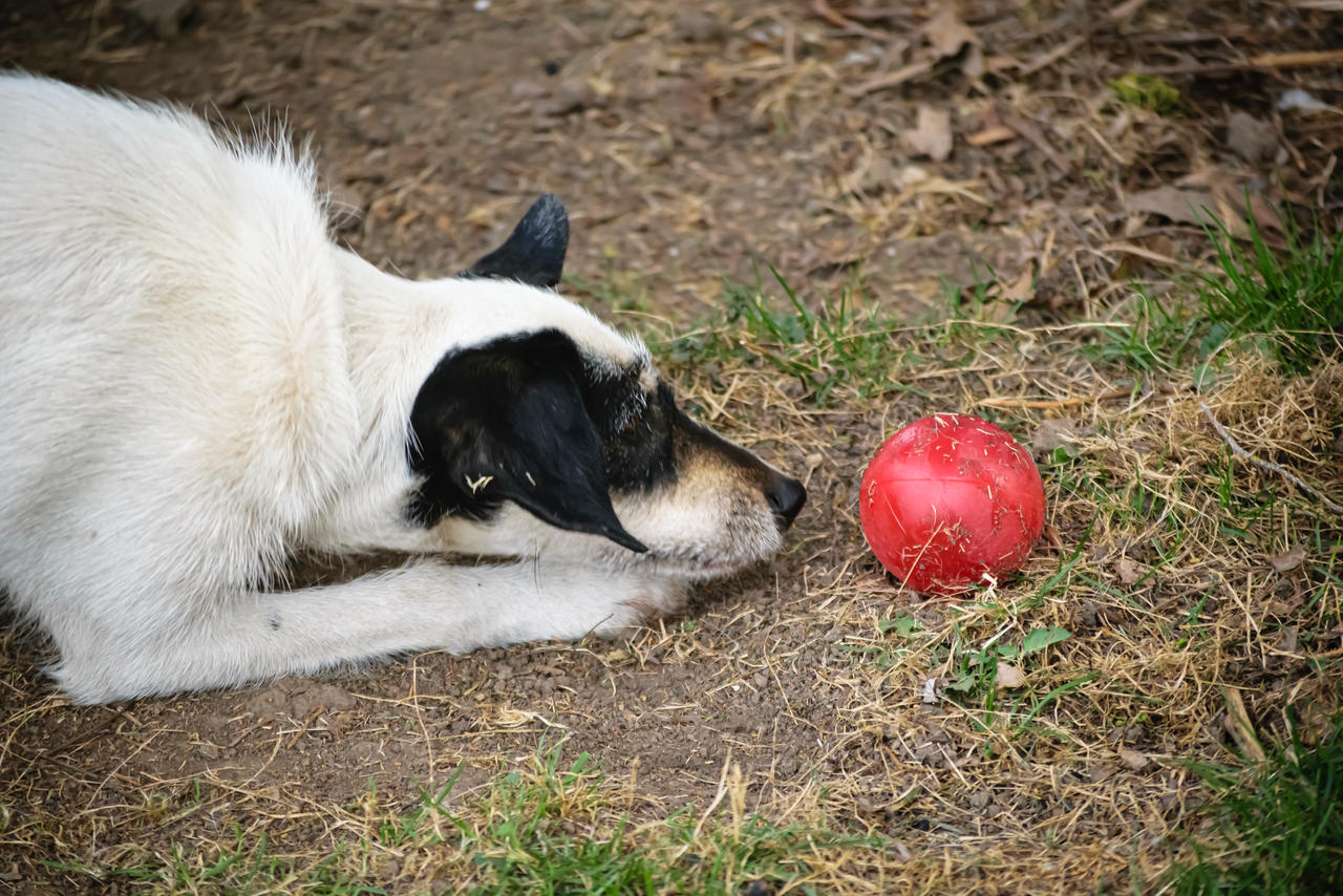 Keeping An Eye On Things