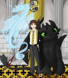 Hiccup Haddock in Hogwarts