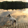 lakeside serenity