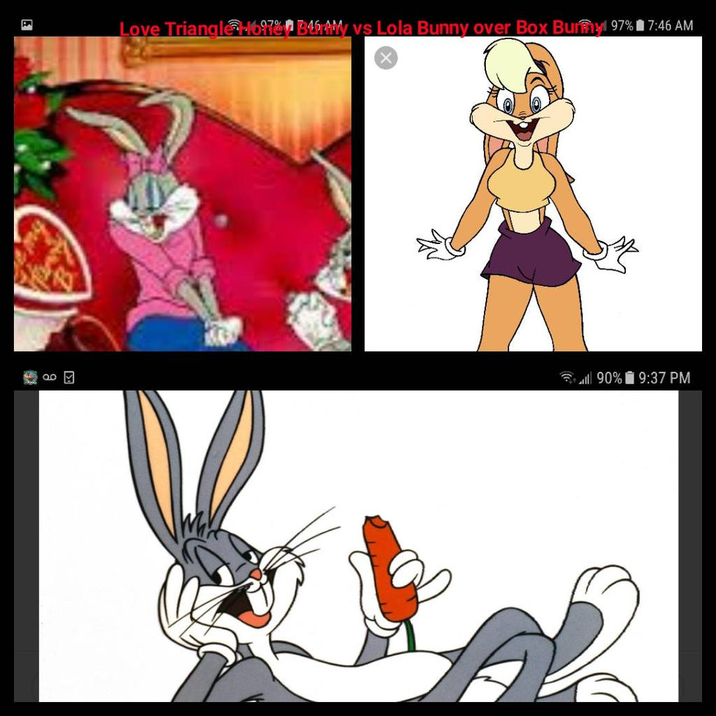 Love War Honey Bunny vs Lola Bunny over Box Bunny by renhob27 on DeviantArt Love War Honey Bunny vs Lola Bunny over Box Bunny by renhob27 on DeviantArt