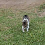 I am walking toward you