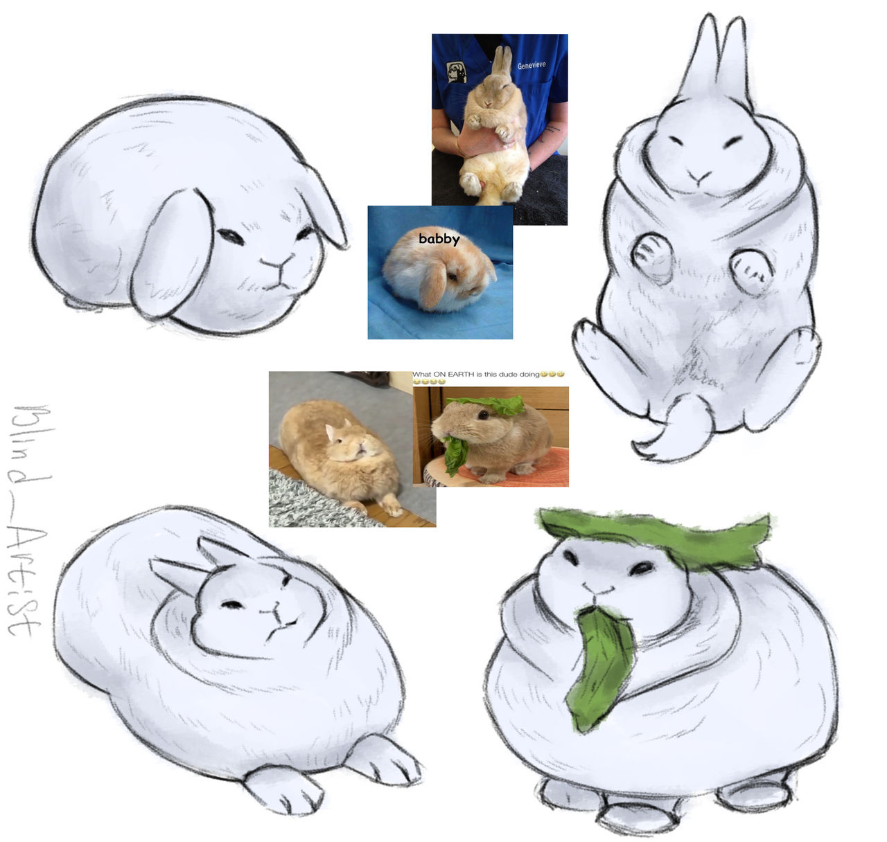 Gubby Rabbit Draw GUBBY! by Blind13Artist on DeviantArt