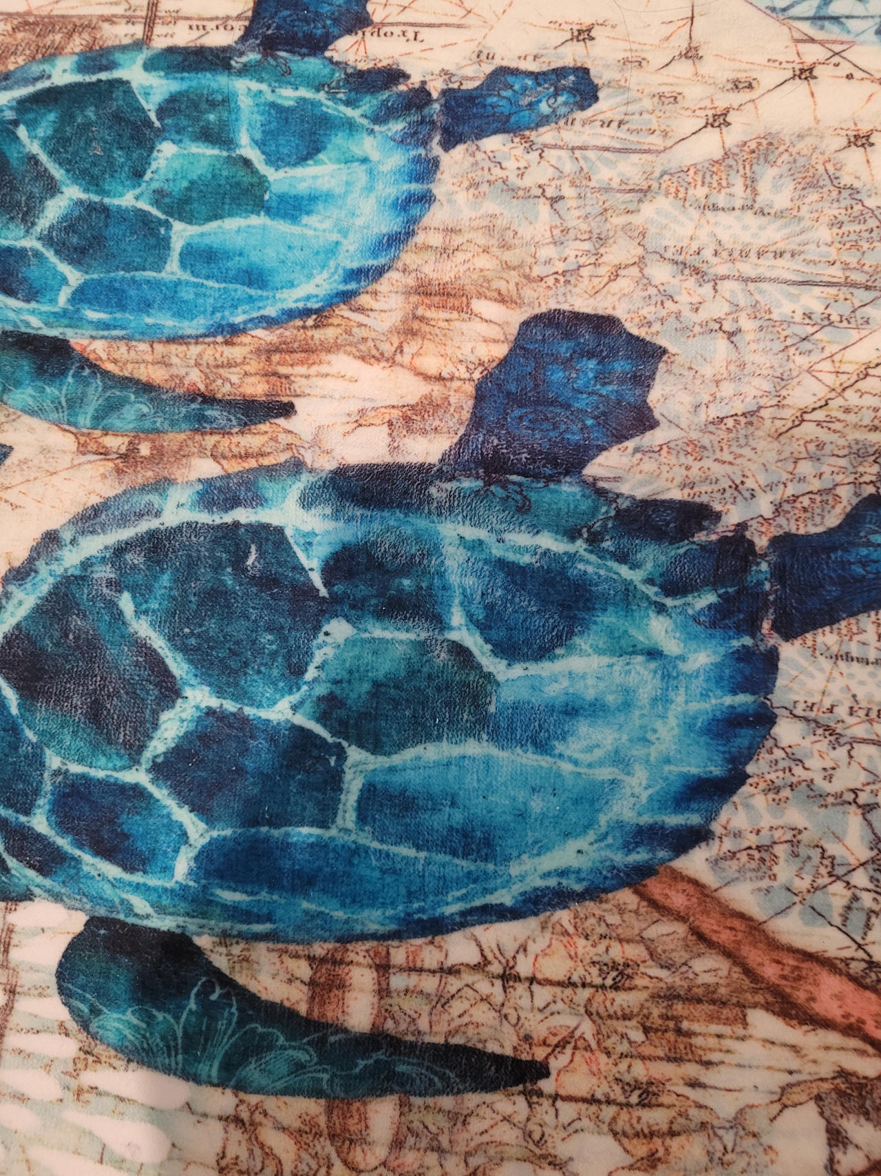 Turtle rug by TWRTLEGIRL on DeviantArt