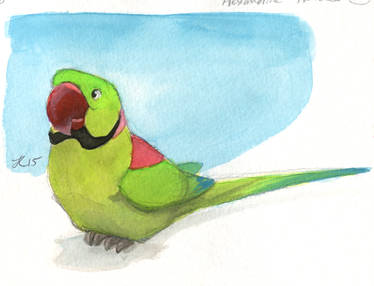 Inktober #30 - Alexandrine Parakeet