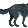 Wolf - Maia ref