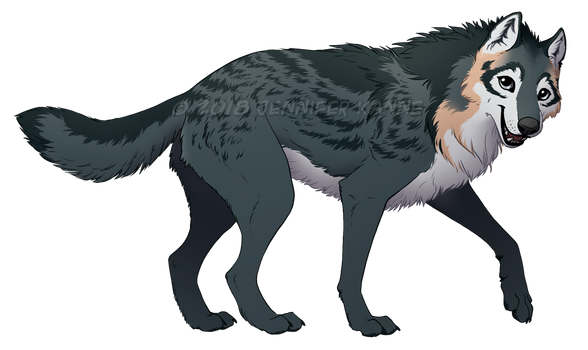 Wolf - Maia ref