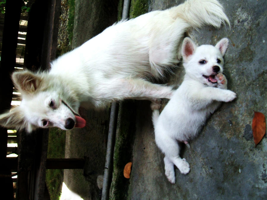 just being cute with mom