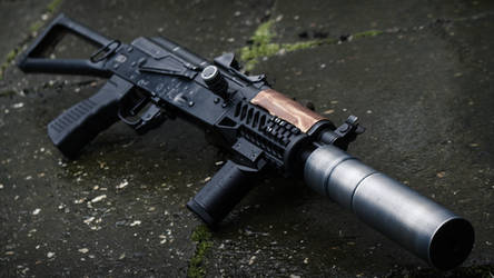 AKS74U customized