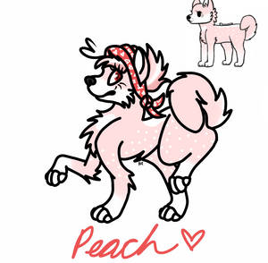 Peach