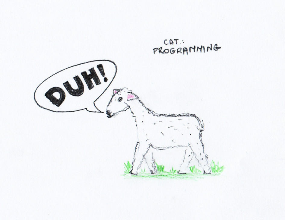 A rebus - category: programming by wodny on DeviantArt