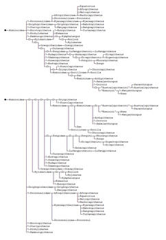 Unicode Phylogenetic Trees