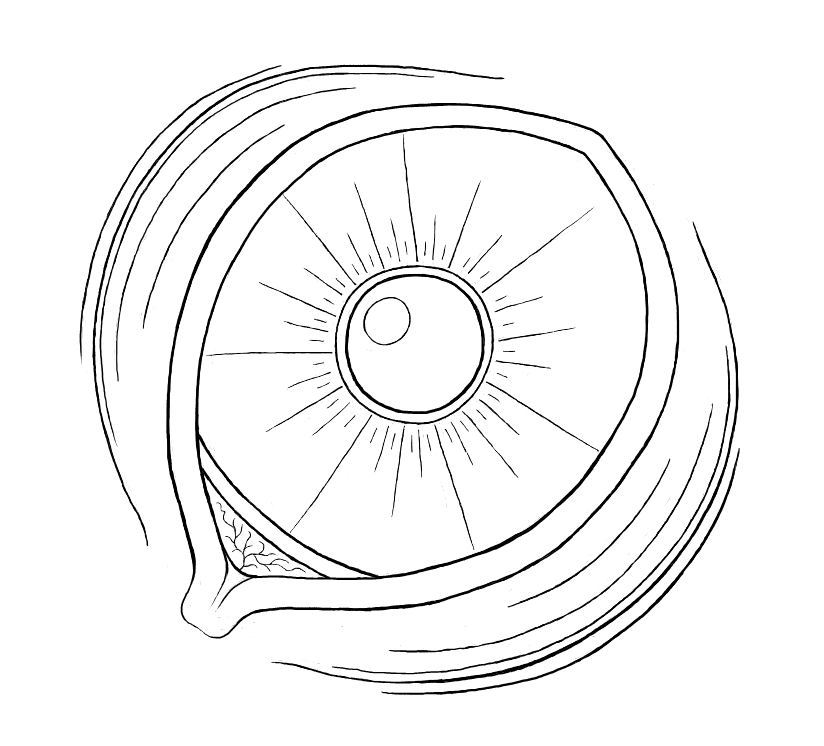 Eye Lines by dracontes