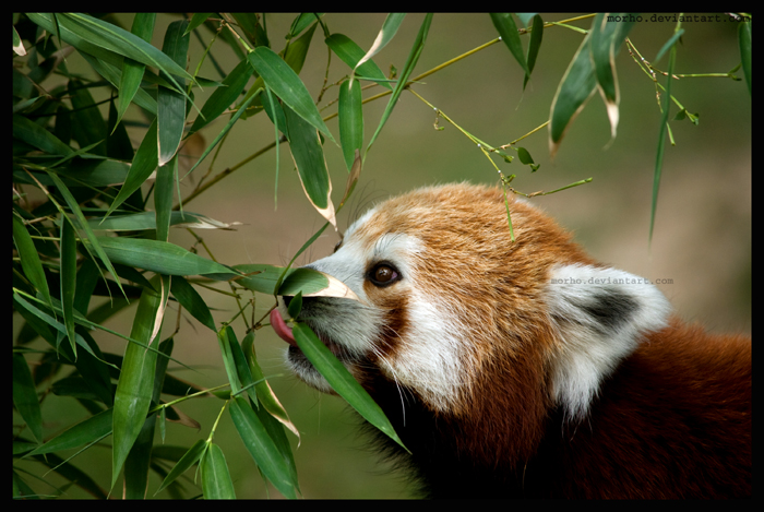 to be surrounded with your meal, is good :D