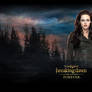 Breaking Dawn Part 2 fan art