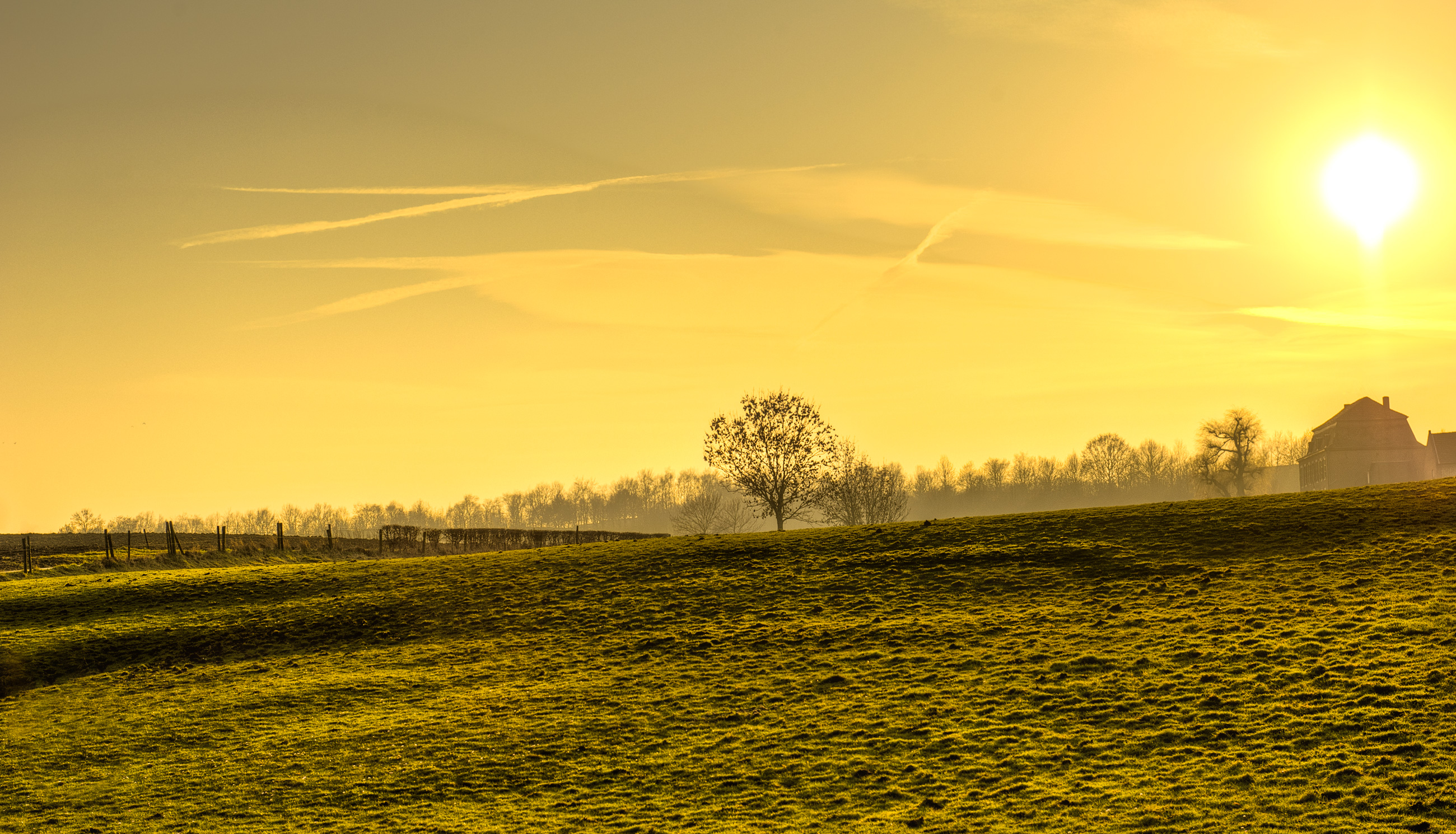 Golden hillside at dusk