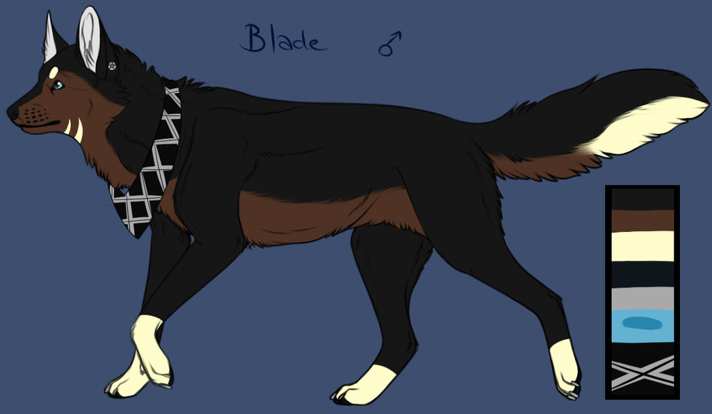 Blade Reference Blade Reference by WinNinja on DeviantArt