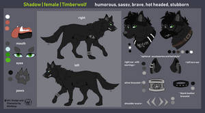 Shadow Fursona Reference 2018