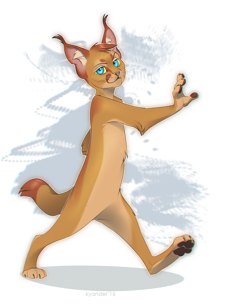 Kissa the caracal