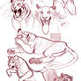 Tigers sketchpage