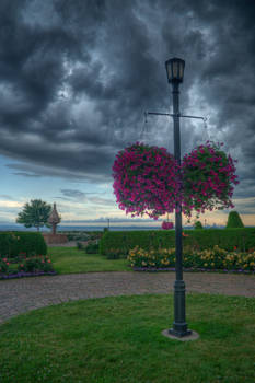 rose Garden HDR 5