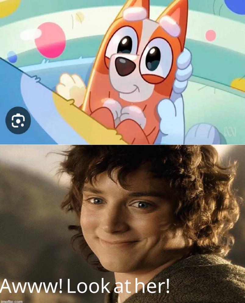 Frodo Finds Bingo Cute by CoolSuvi2010 on DeviantArt