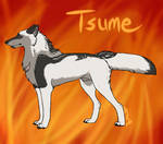 Tsume - Face Off by littlezombiesol