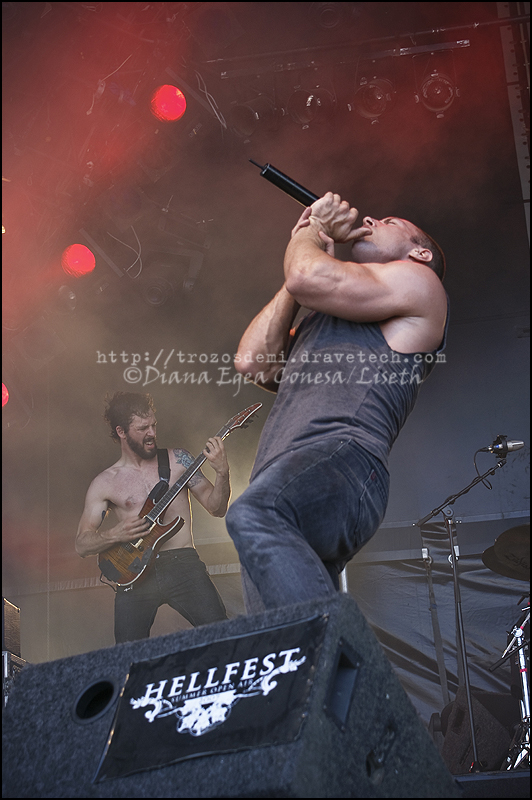 Hellfest 2008 - TDEP 12