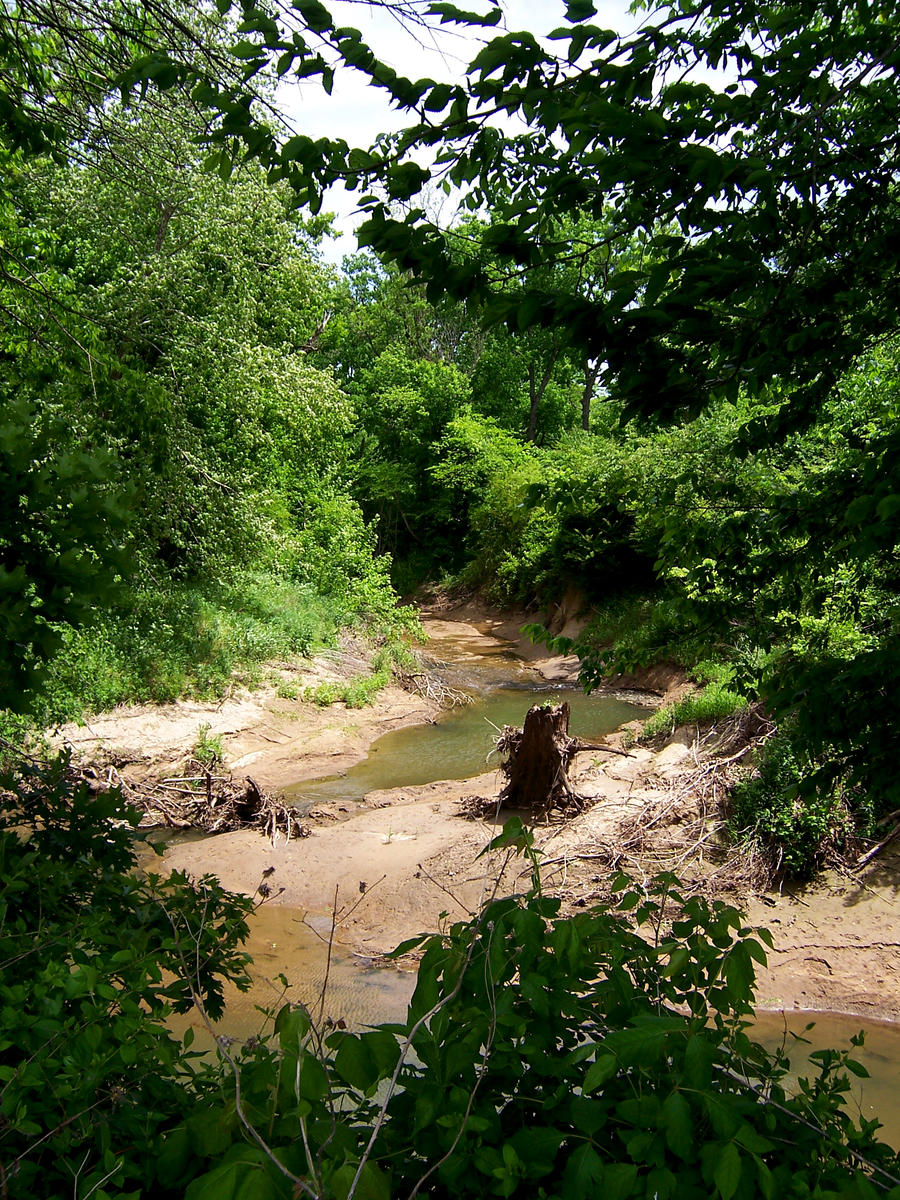 ZumStock Muddy River 1