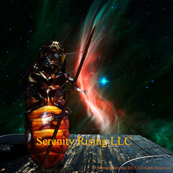 SRL Roach in Space wm