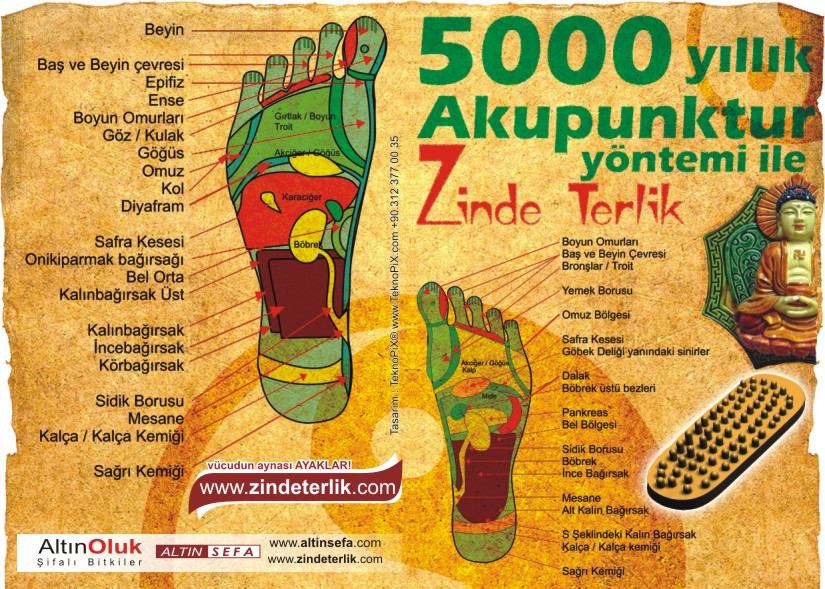 Mucize terlik brochure 2 front