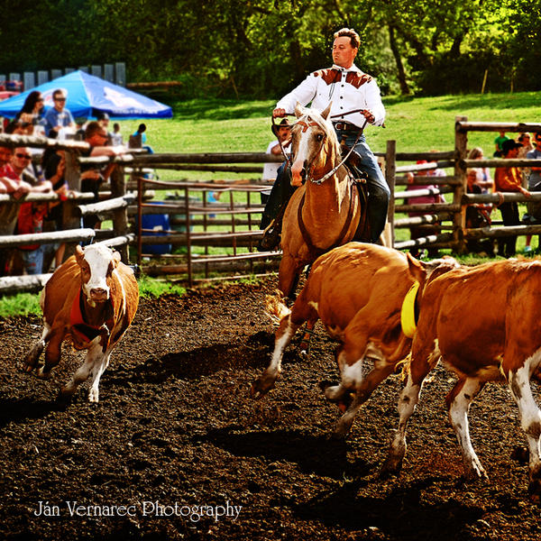 Rodeo by Vernarec on DeviantArt