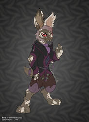 SOLD - Splotchy Rabbit Adopt