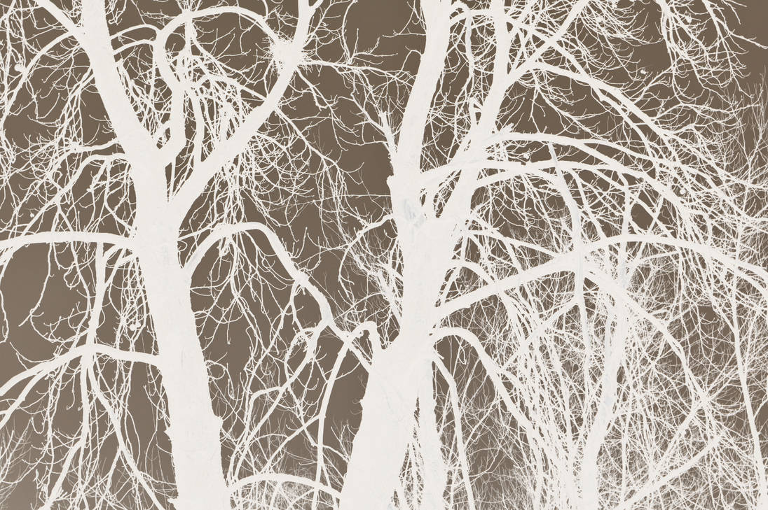 Inverted Colored Tree Scary trees -inverted by dzelena on DeviantArt