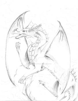 Flying Dragon Sketch