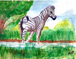 Watercolor Zebra by MirandaPavelle